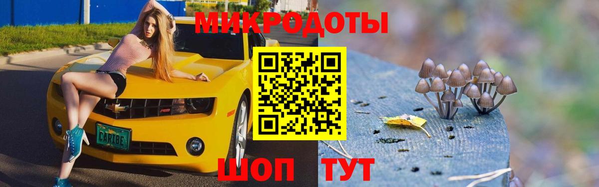 Батайск  Псилоцибиновые грибы GOLDEN TEACHER  где продают наркотики  Вход с VPN 